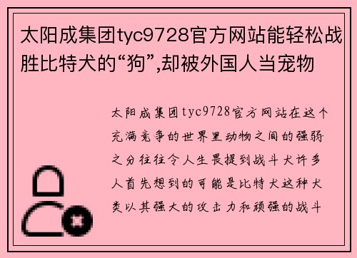 太阳成集团tyc9728官方网站能轻松战胜比特犬的“狗”,却被外国人当宠物,网友看得瑟瑟