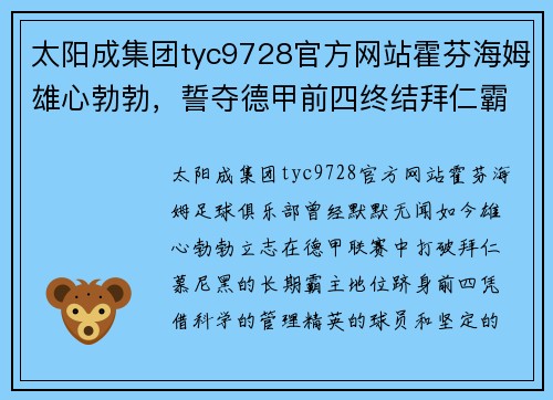 太阳成集团tyc9728官方网站霍芬海姆雄心勃勃，誓夺德甲前四终结拜仁霸主统治 - 副本